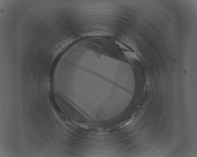 X0000073390348200608251440