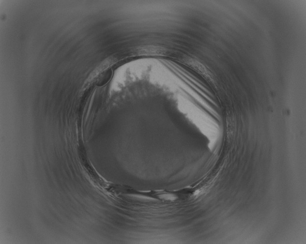 X0000073390349200608251440