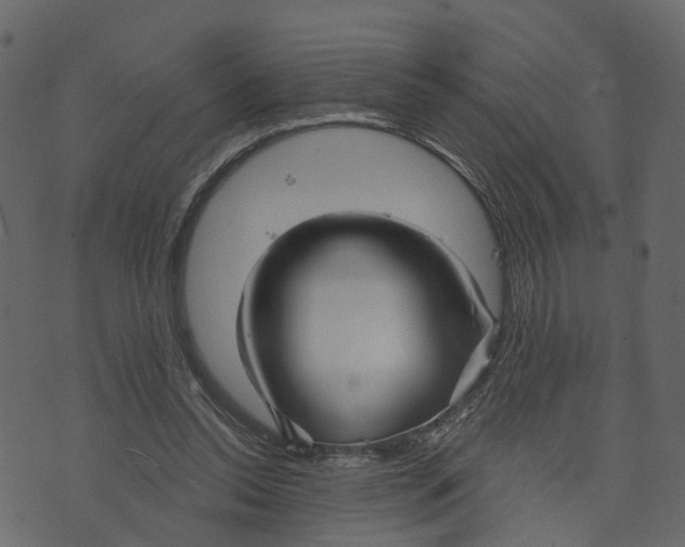 X0000073390350200608251440