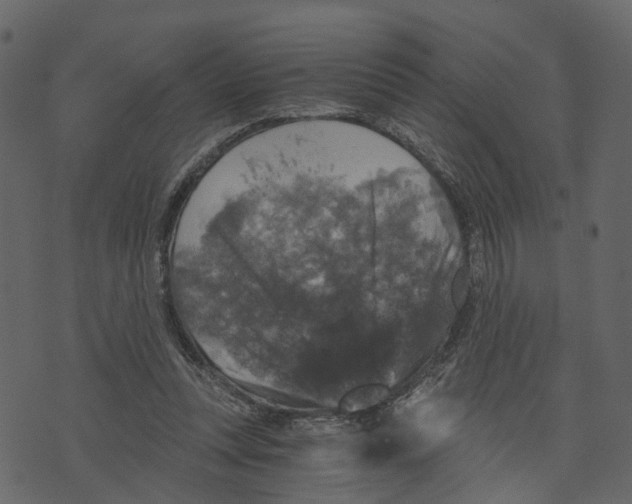 X0000073390351200608251440