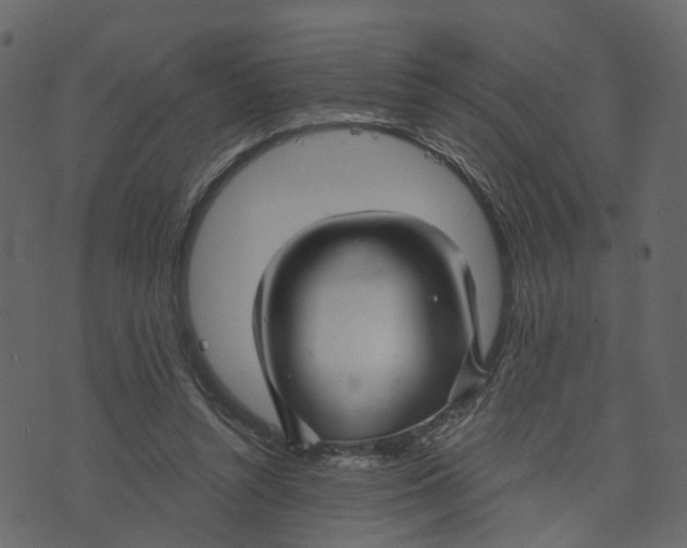 X0000073390352200608251440