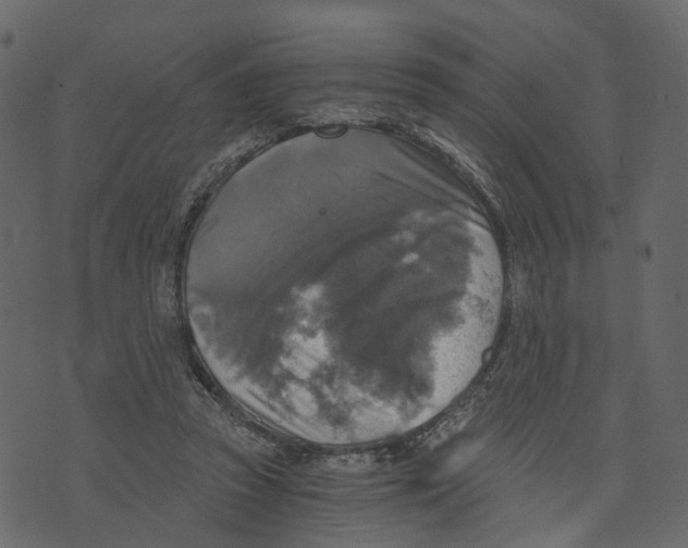 X0000073390353200608251440