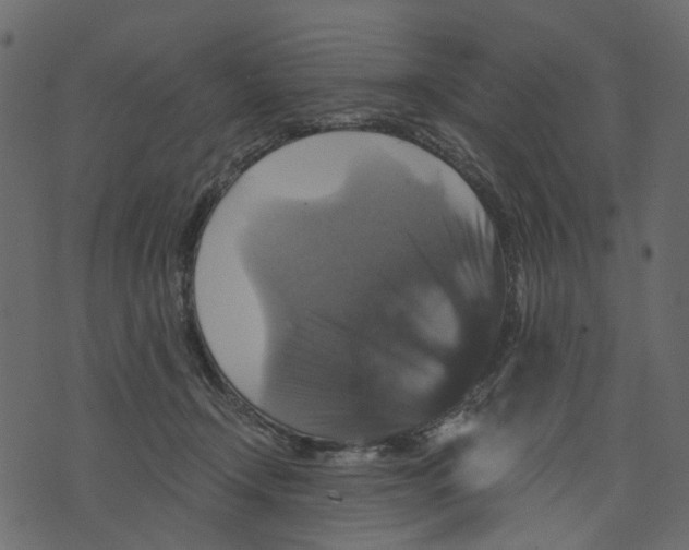 X0000073390366200608251440
