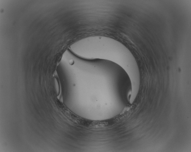 X0000073390368200608251440