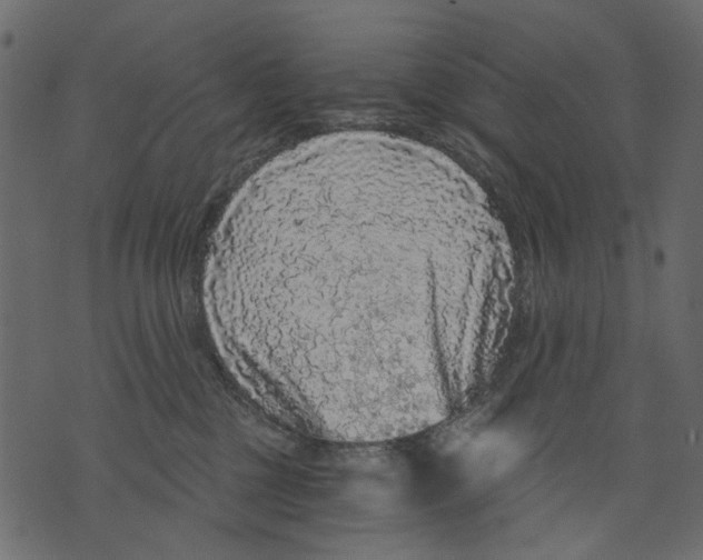 X0000073390377200608251440