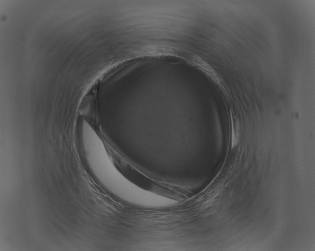 X0000073390387200608251439