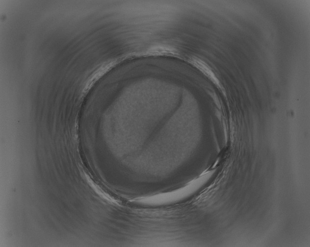 X0000073390389200608251439