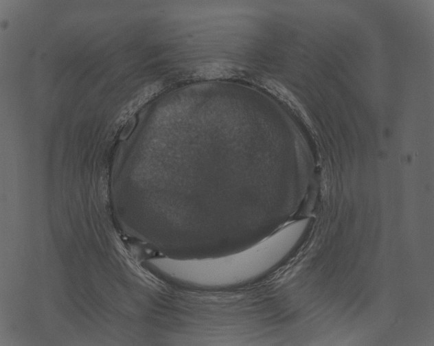 X0000073390393200608251439