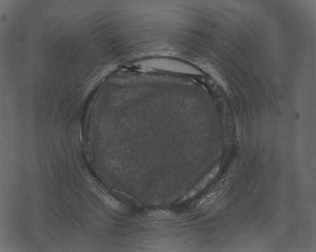 X0000073390397200608251439