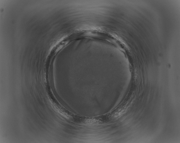 X0000073390399200608251439