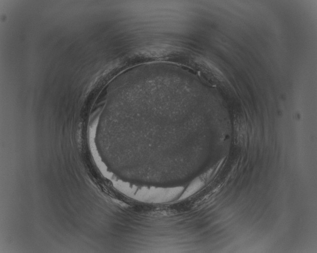 X0000073390404200608251439