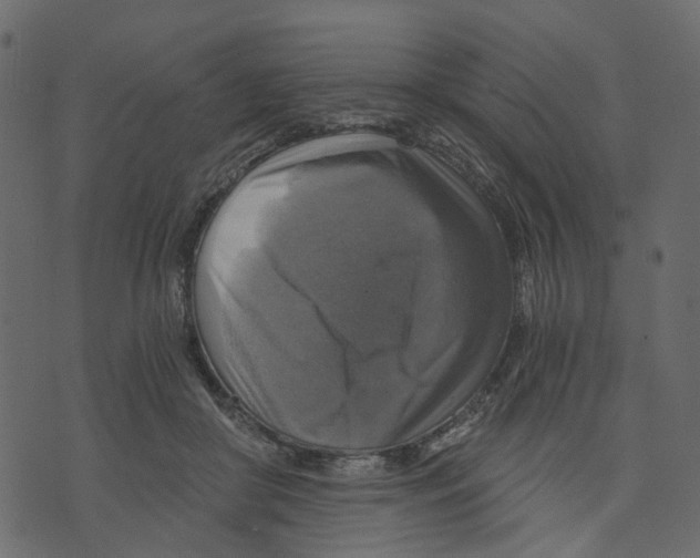 X0000073390410200608251439