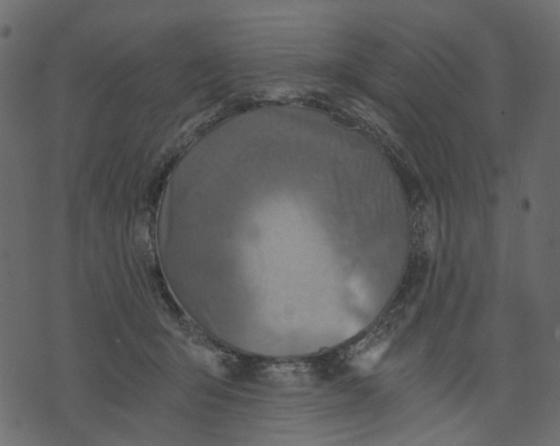 X0000073390415200608251439