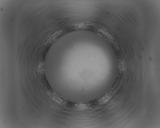 X0000073390419200608251439
