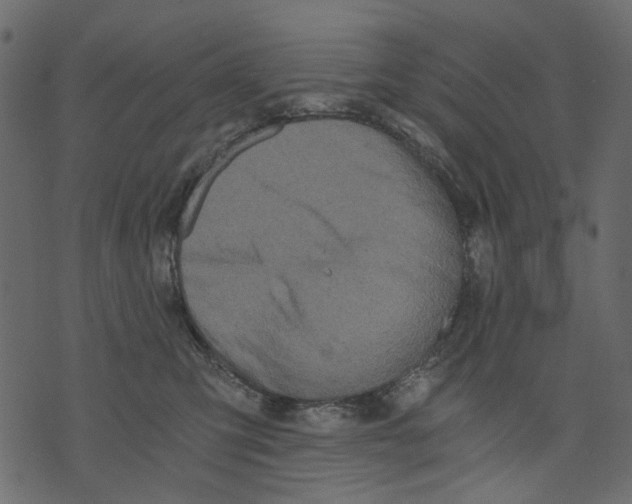 X0000073390423200608251439