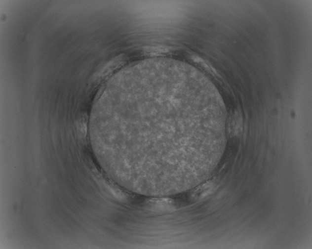 X0000073390427200608251439