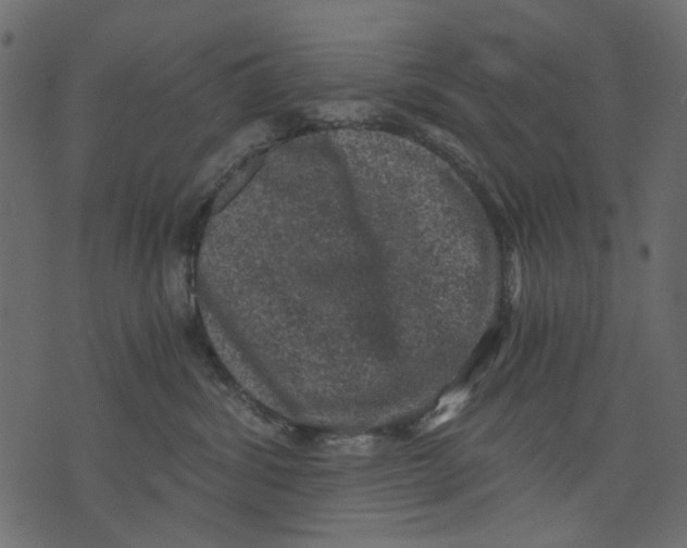 X0000073390428200608251439