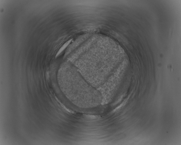 X0000073390432200608251439