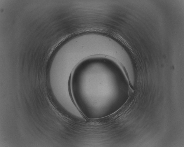 X0000073390444200608251438