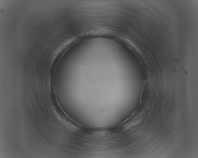 X0000073390446200608251438