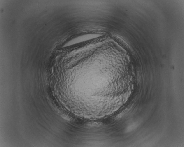 X0000073390453200608251438