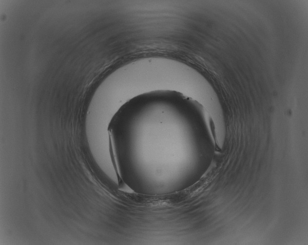 X0000073390456200608251438