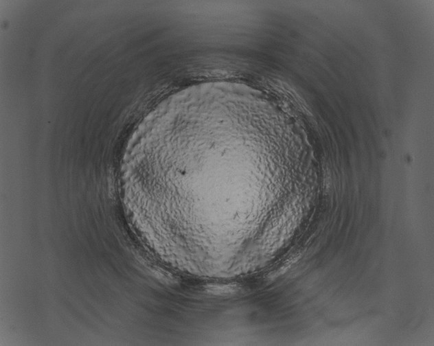 X0000073390457200608251438