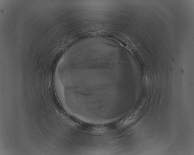 X0000073390458200608251438