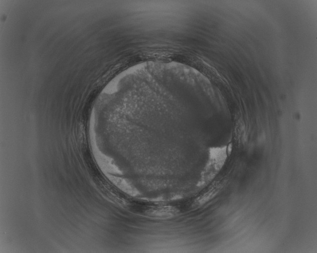 X0000073390459200608251438