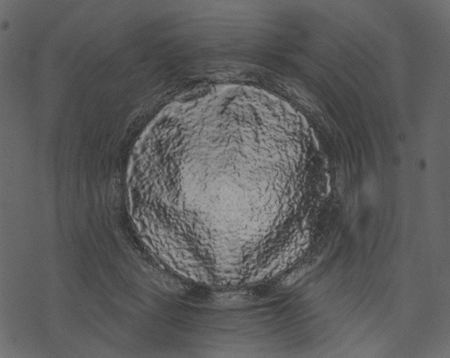 X0000073390461200608251438