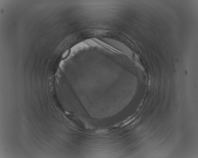 X0000073390462200608251438
