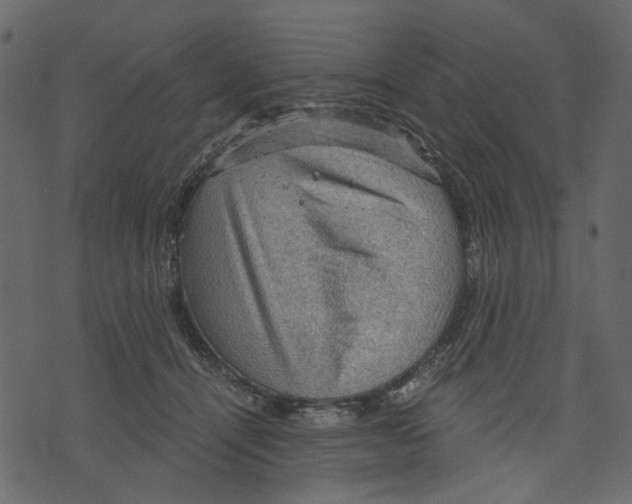 X0000073390464200608251438