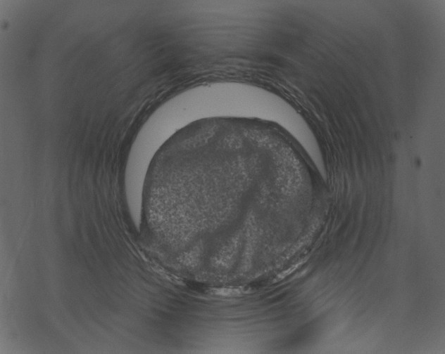 X0000073390466200608251438