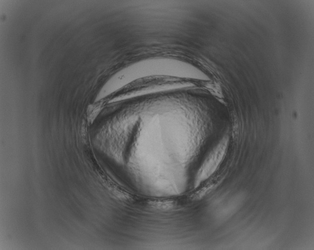 X0000073390469200608251438