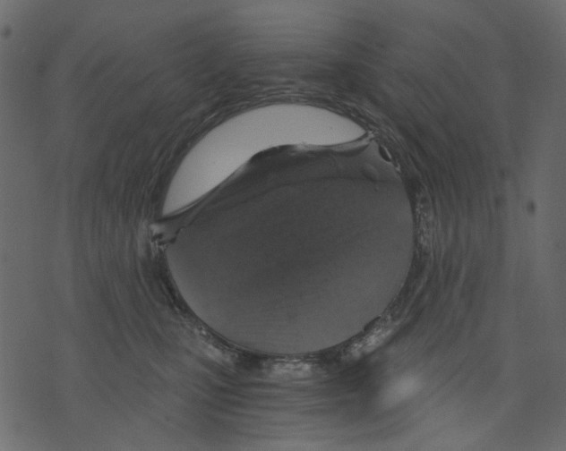 X0000073390471200608251439