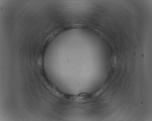 X0000073390472200608251439