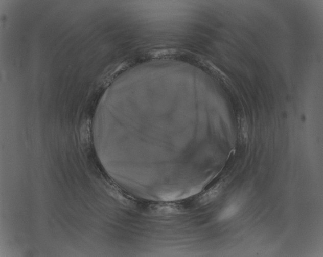 X0000073390475200608251439