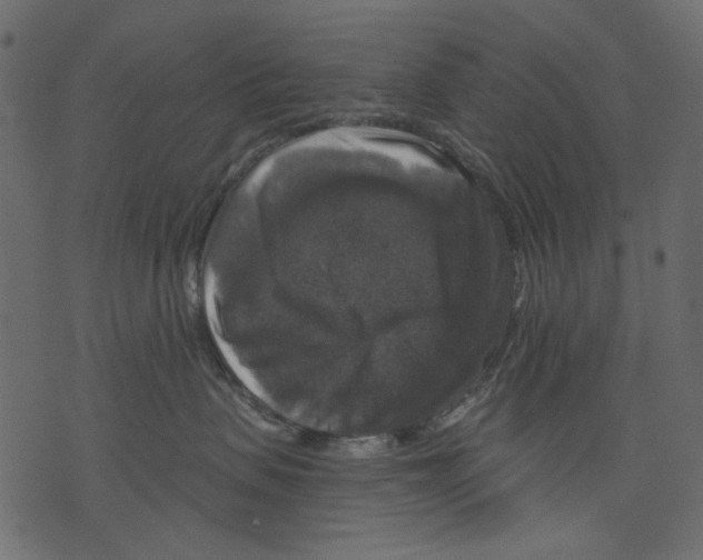 X0000073390479200608251439
