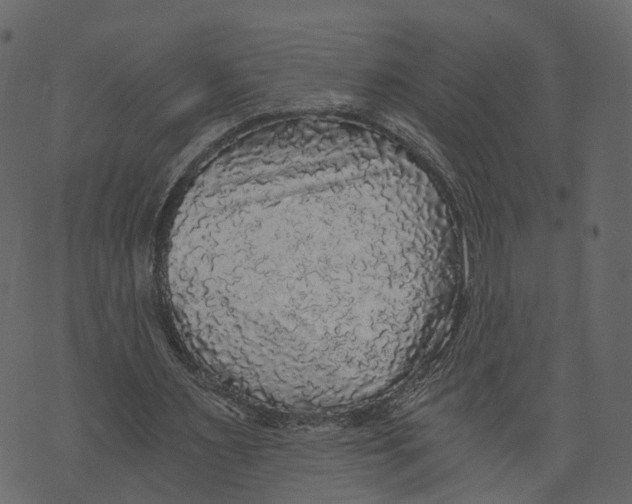 X0000073390483200608251438