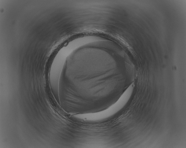X0000073390488200608251438