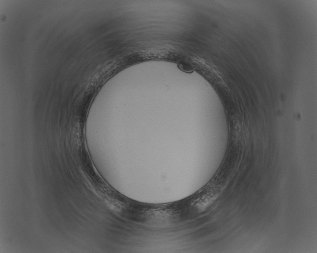 X0000073390498200608251438