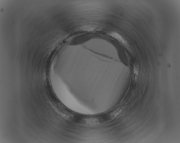 X0000073390500200608251438