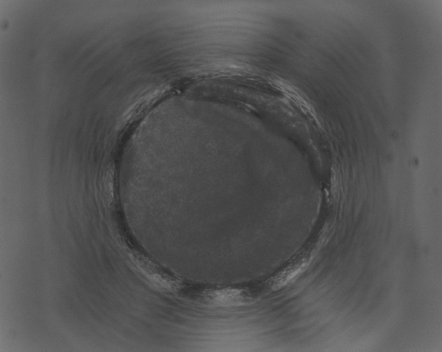 X0000073390501200608251438