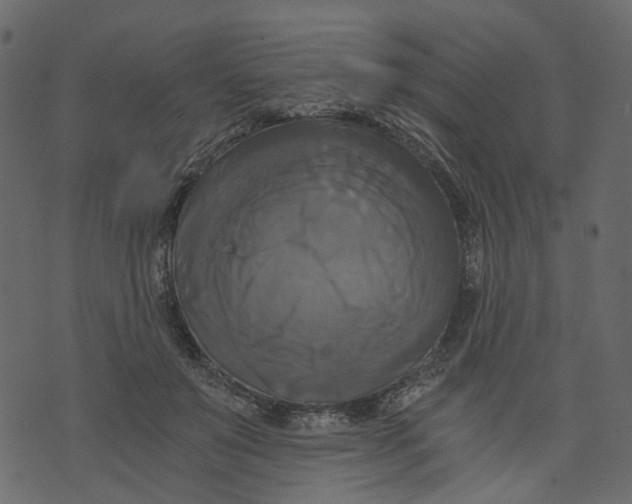 X0000073390503200608251438