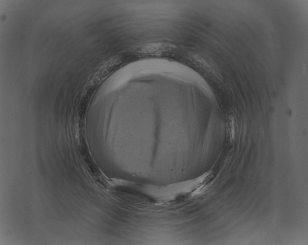 X0000073390504200608251437