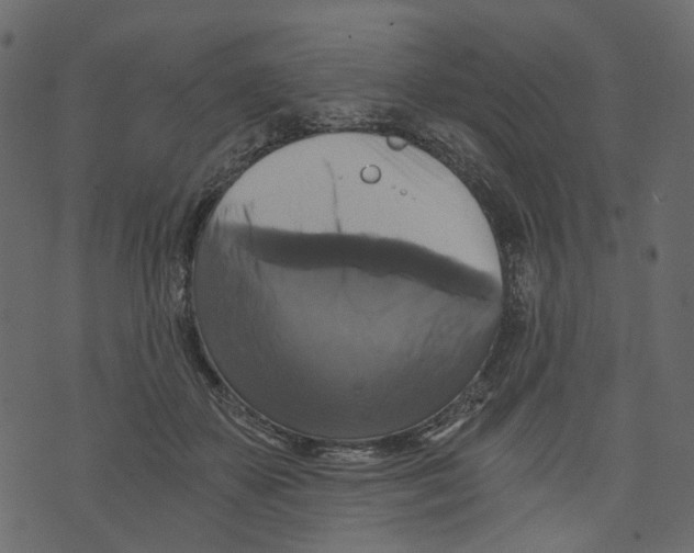 X0000073390507200608251437