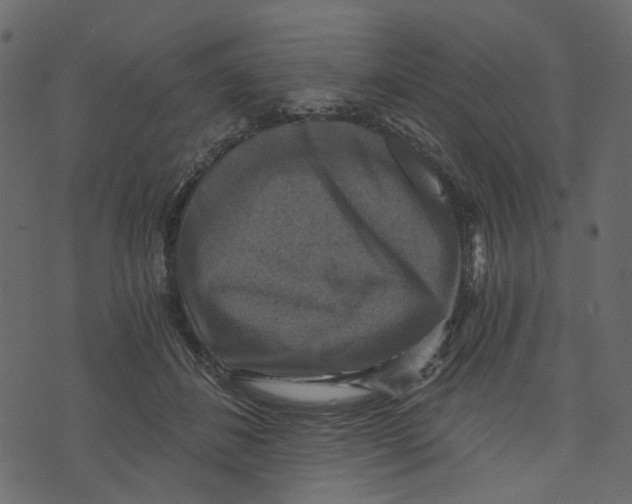 X0000073390508200608251437