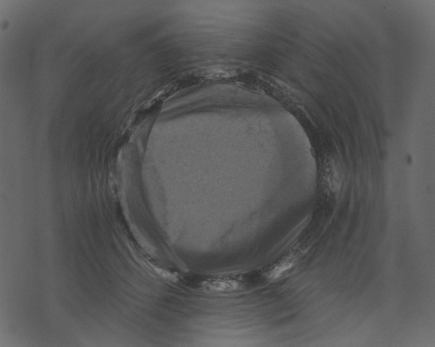X0000073390512200608251437