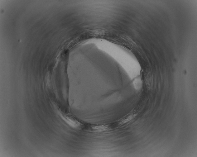 X0000073390516200608251437