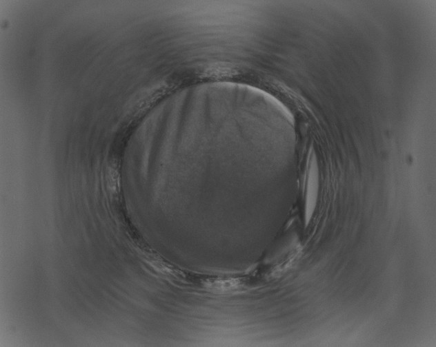 X0000073390517200608251437